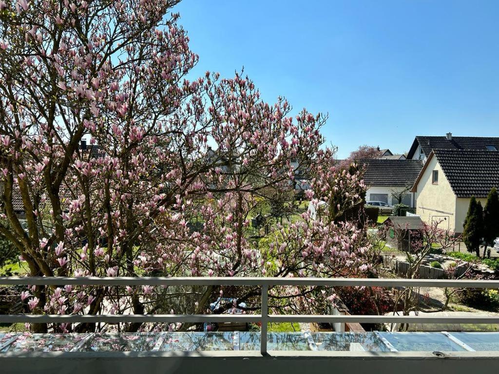 Ferienwohnungen Verma Schwanau Ngoại thất bức ảnh